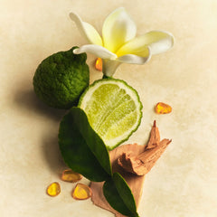 Hair & Body Mist N3